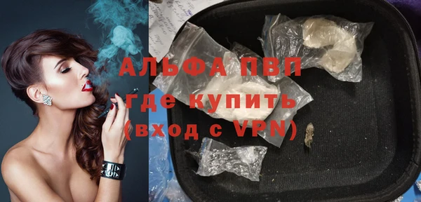 стафф Билибино