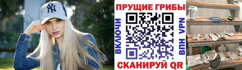 даркнет сайт  Иваново  Галлюциногенные грибы прущие грибы 