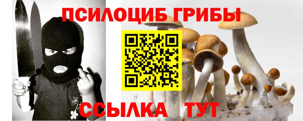 Галлюциногенные грибы Psilocybine cubensis Иваново